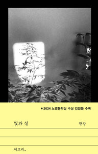 🆕 빛과 실