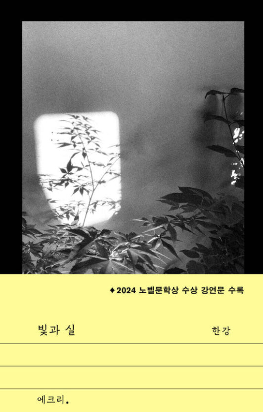 🆕 빛과 실